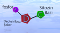 Sitozin Nükleotidi