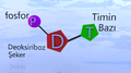 Timin Nükleotidi